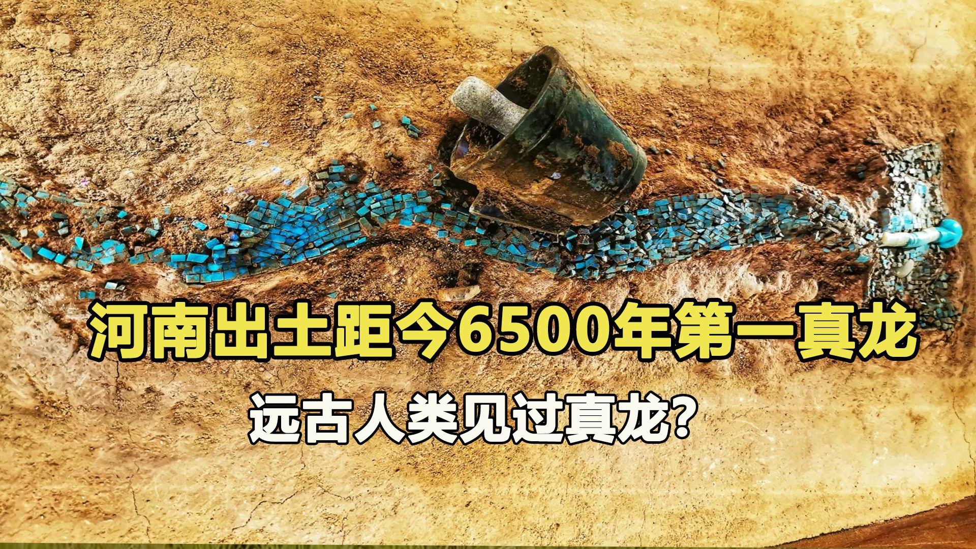 河南挖出中华第一龙,距今6000多年,专家:古人见过或真实存在哔哩哔哩bilibili