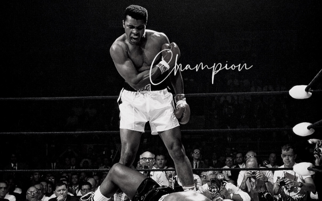 拳王阿里蝴蝶步ii