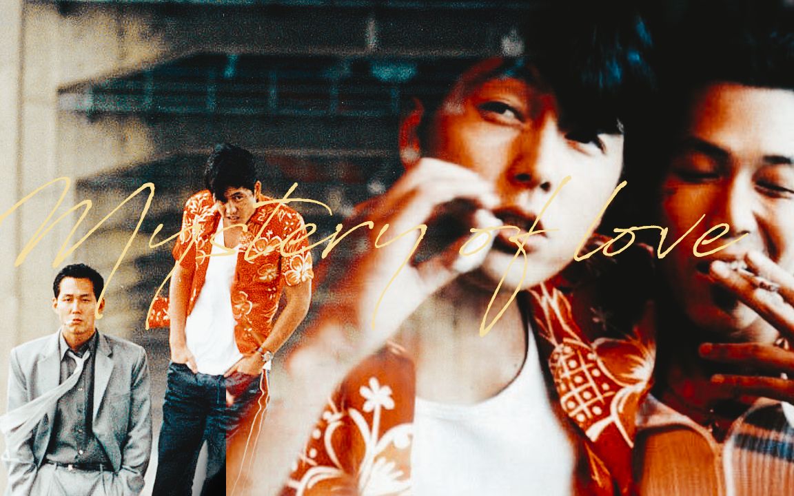 日出城市郑雨盛李政宰