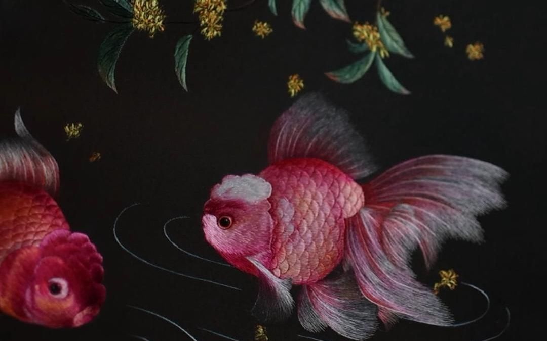 可以在空中游的金鱼?