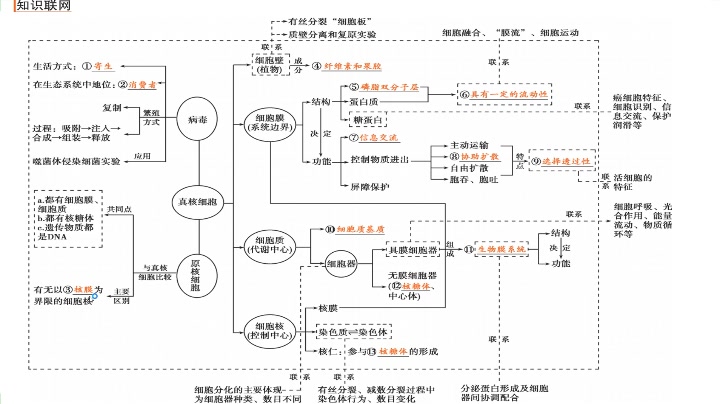 细胞的基本结构第一讲哔哩哔哩bilibili