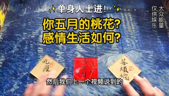 【娇娇tarot】单身特辑！五月你的桃花？