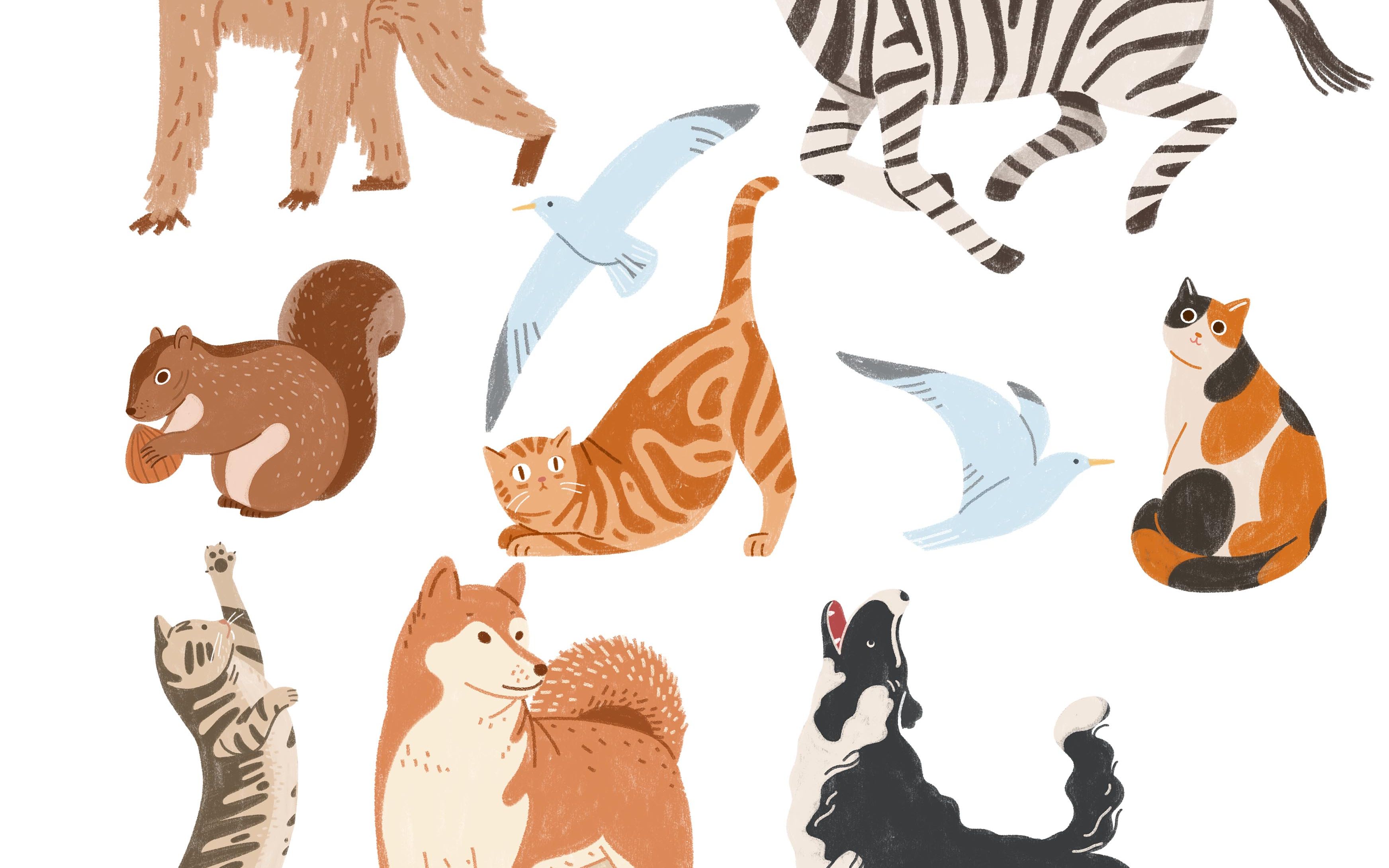 【ps插画板绘】 小动物-插画过程分享_哔哩哔哩_bilibili