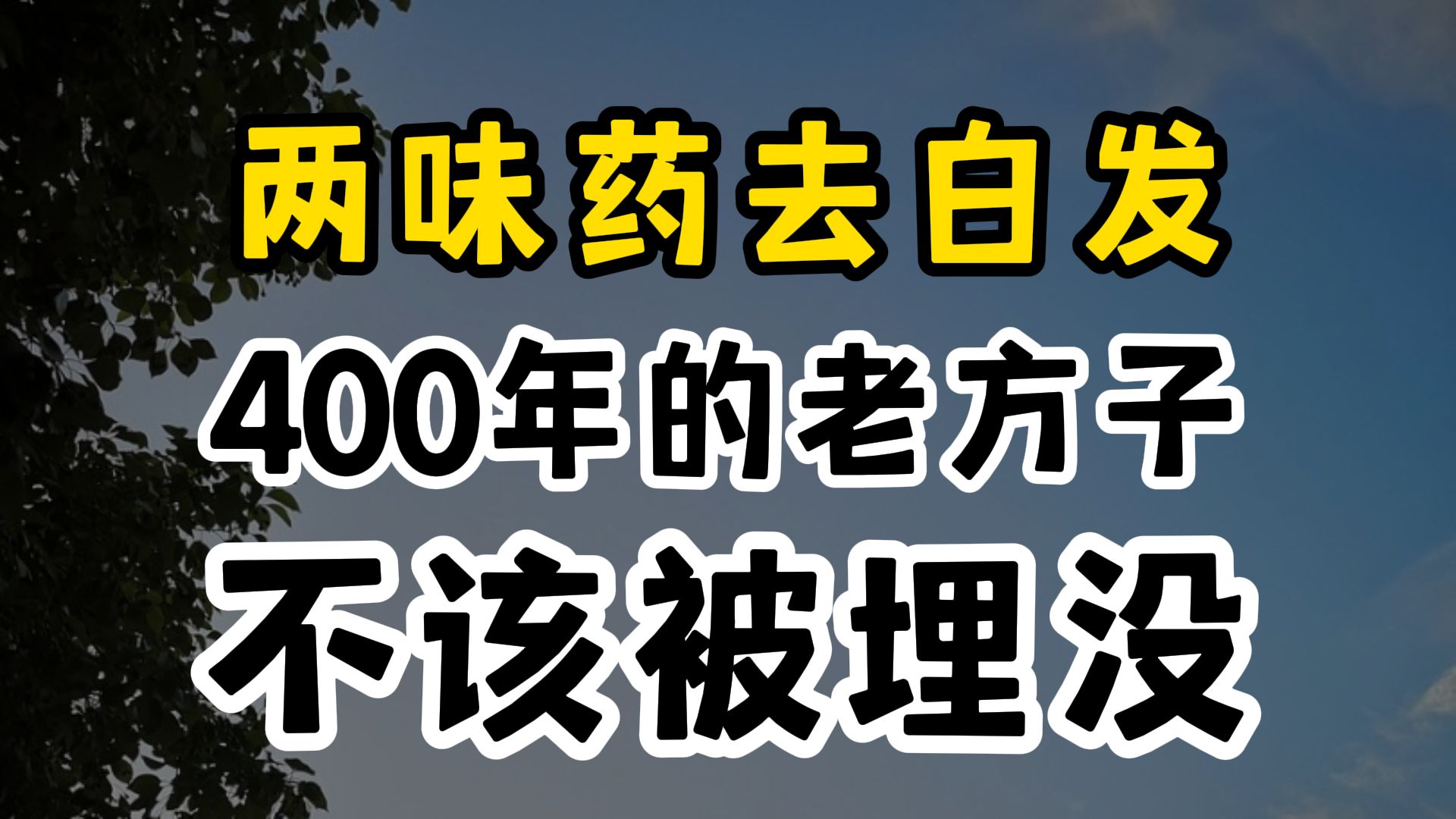 两味药去白发,四百年前的老方子,不该被埋没!哔哩哔哩bilibili