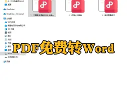 下载视频: PDF免费转word