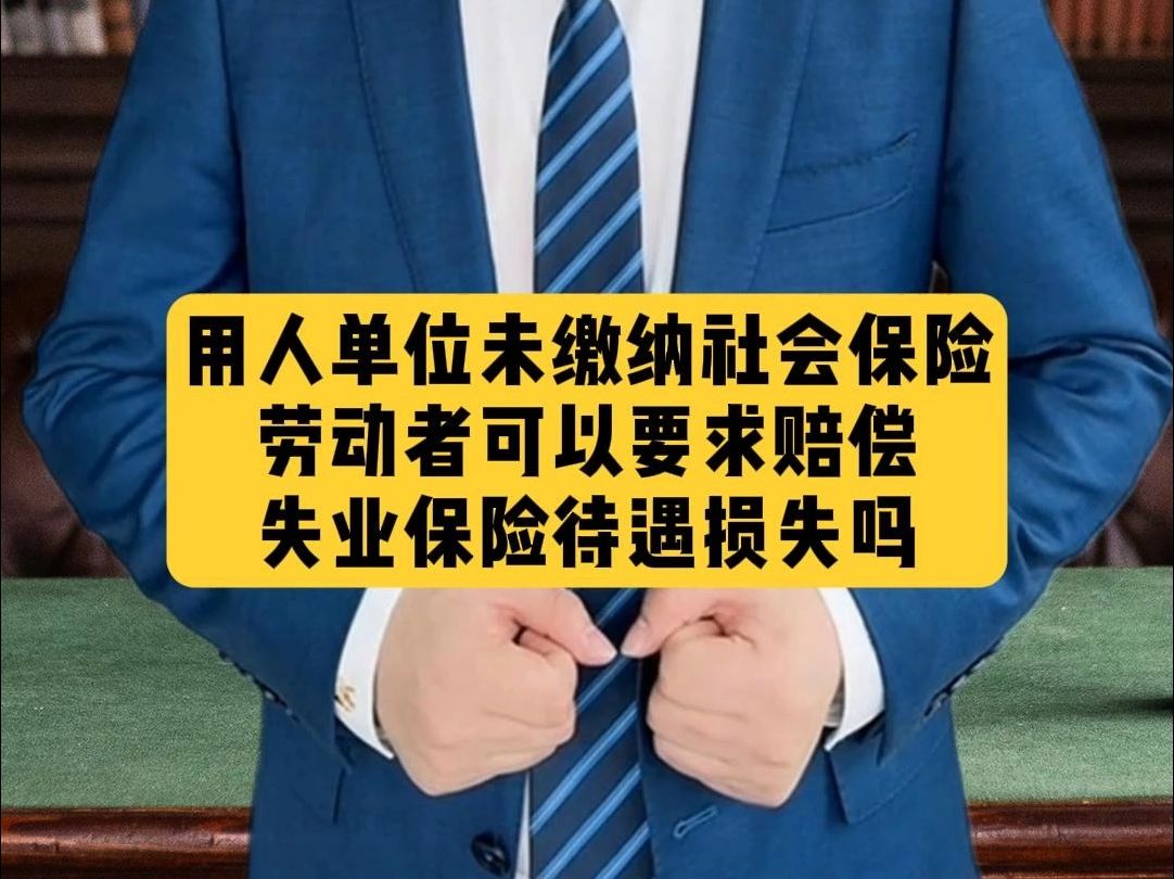 用人单位未缴纳社会保险,劳动者可以要求赔偿失业保险待遇损失吗 #社会保险 #社会保险待遇 #赔偿哔哩哔哩bilibili