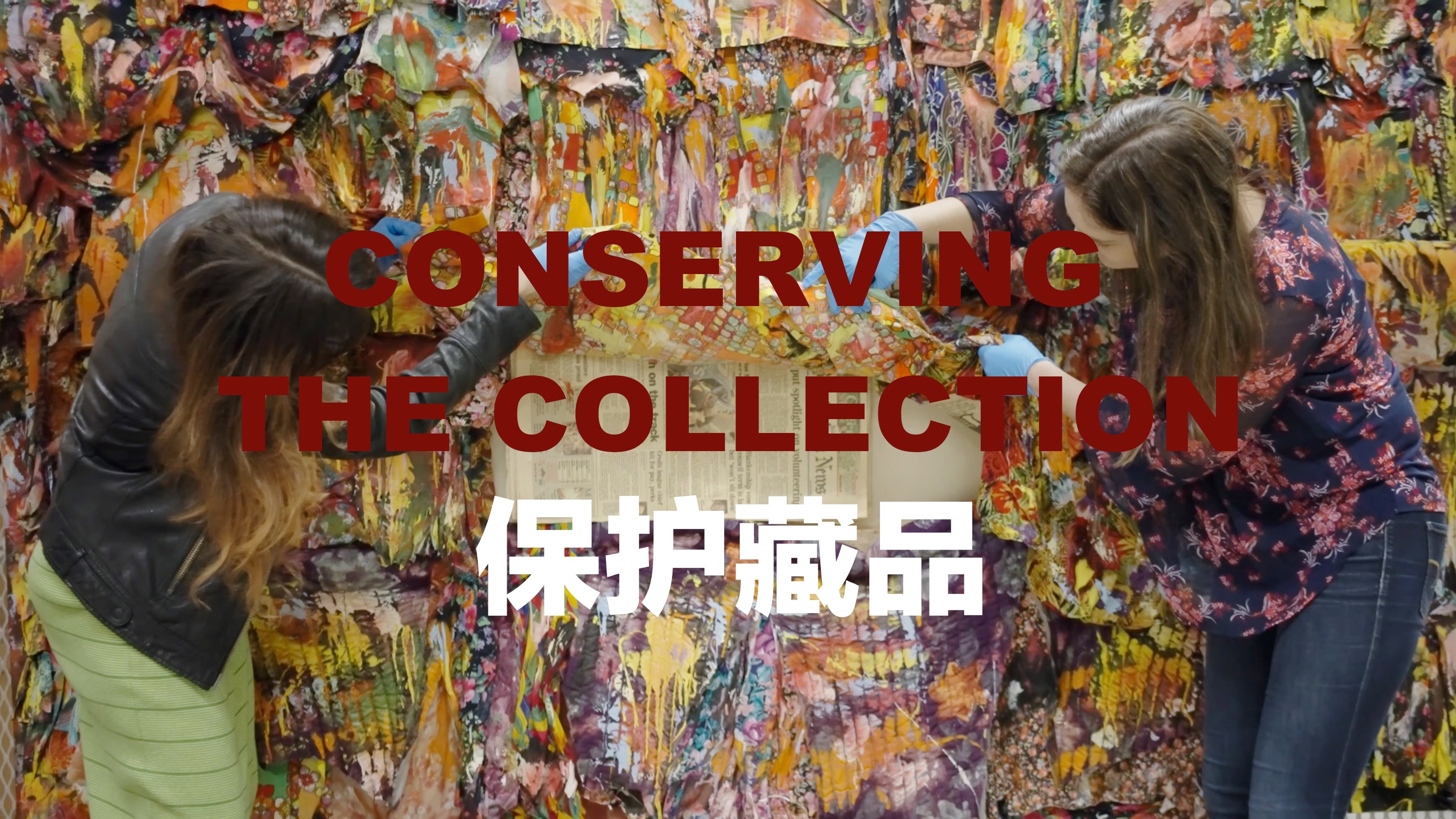 Conserving the Collection保护藏品/艺术品/保护/收藏/当代/综合材质哔哩哔哩bilibili