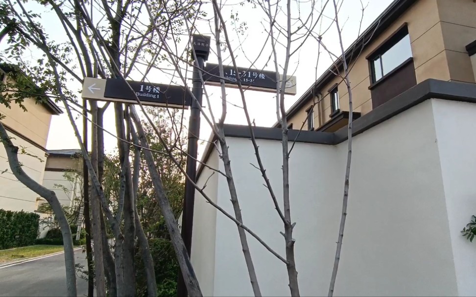 天泽院子一百万级的小别墅