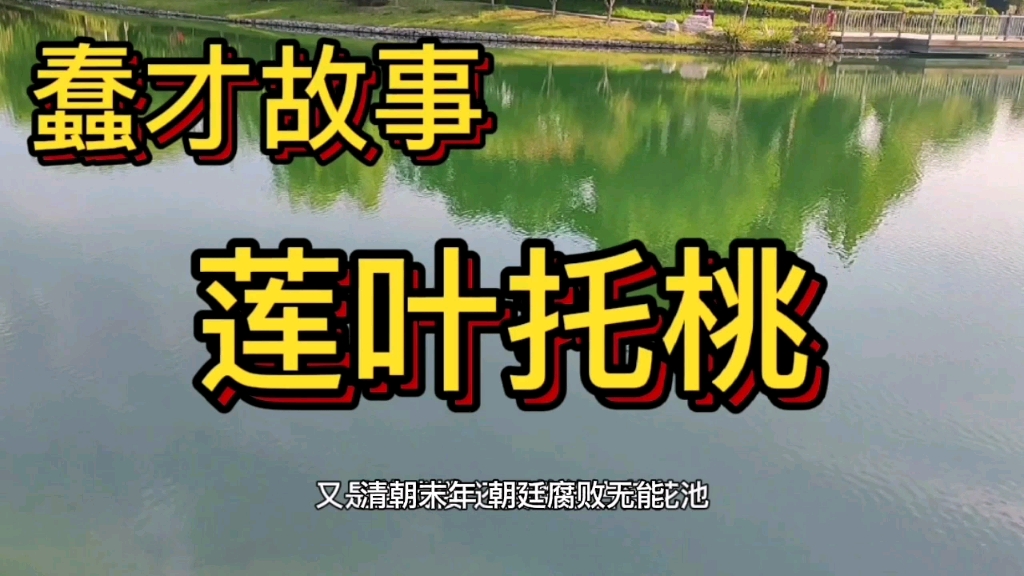 蠢才故事莲叶托桃花