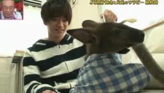 Hey Say Jump 天才志村动物园犬派vs猫派cut 标清生肉 哔哩哔哩 Bilibili