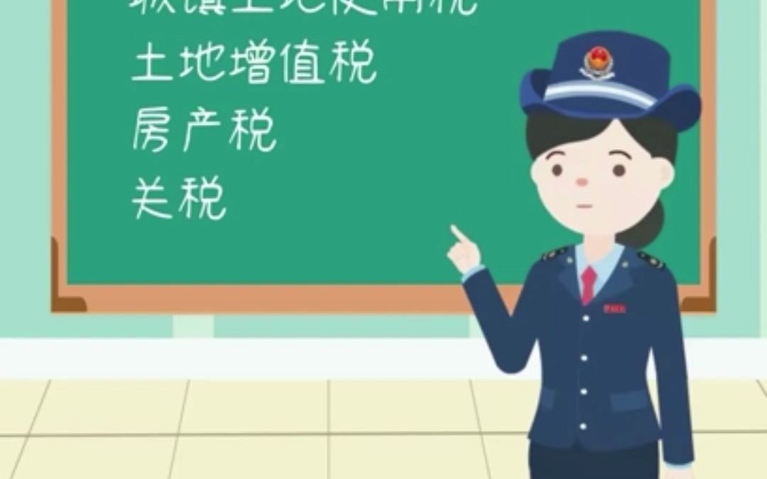 我们已经立法的税种有哪些?哔哩哔哩bilibili