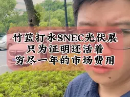 Download Video: 6.17竹篮打水一场空的SNEC光伏展，部分厂家穷尽一年的市场费用，只为证明还活着#光伏 #财经 #储能