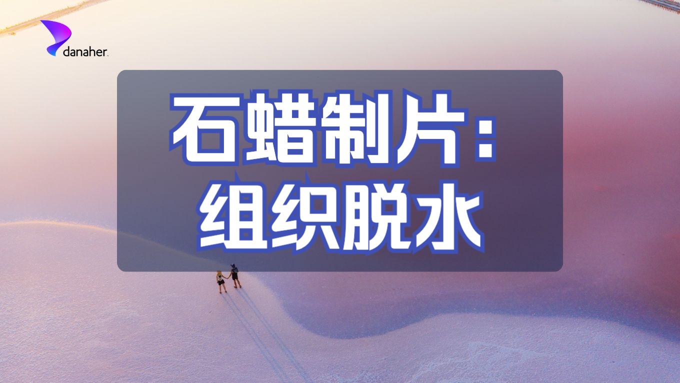 石蜡制片的实验流程:组织脱水哔哩哔哩bilibili