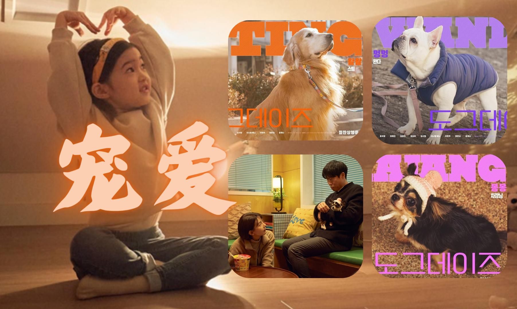 【中字】韩国宠物Dog题材电影《宠爱 Dog Days》角色预告片 韩国2月7日已上映哔哩哔哩bilibili