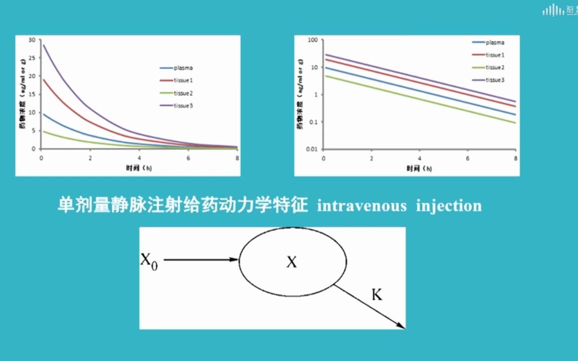 一房室模型静脉给药的药代动力学特哔哩哔哩bilibili