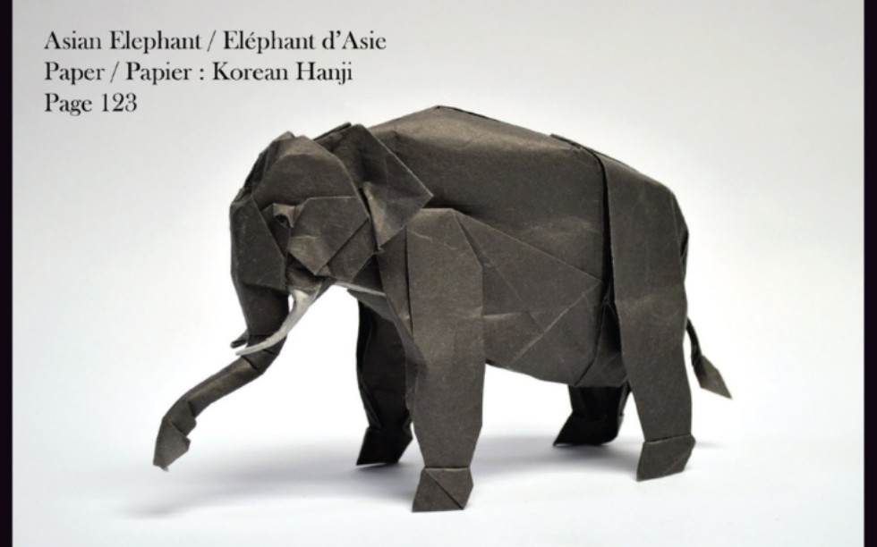 【折纸 搬运】加藤亚洲象