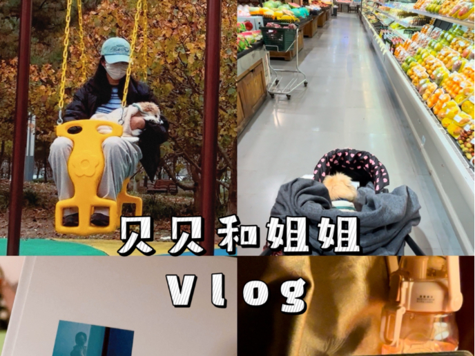 不上班只养狗vlog|我最喜欢平平淡淡的日子|11月流水账记录哔哩哔哩bilibili