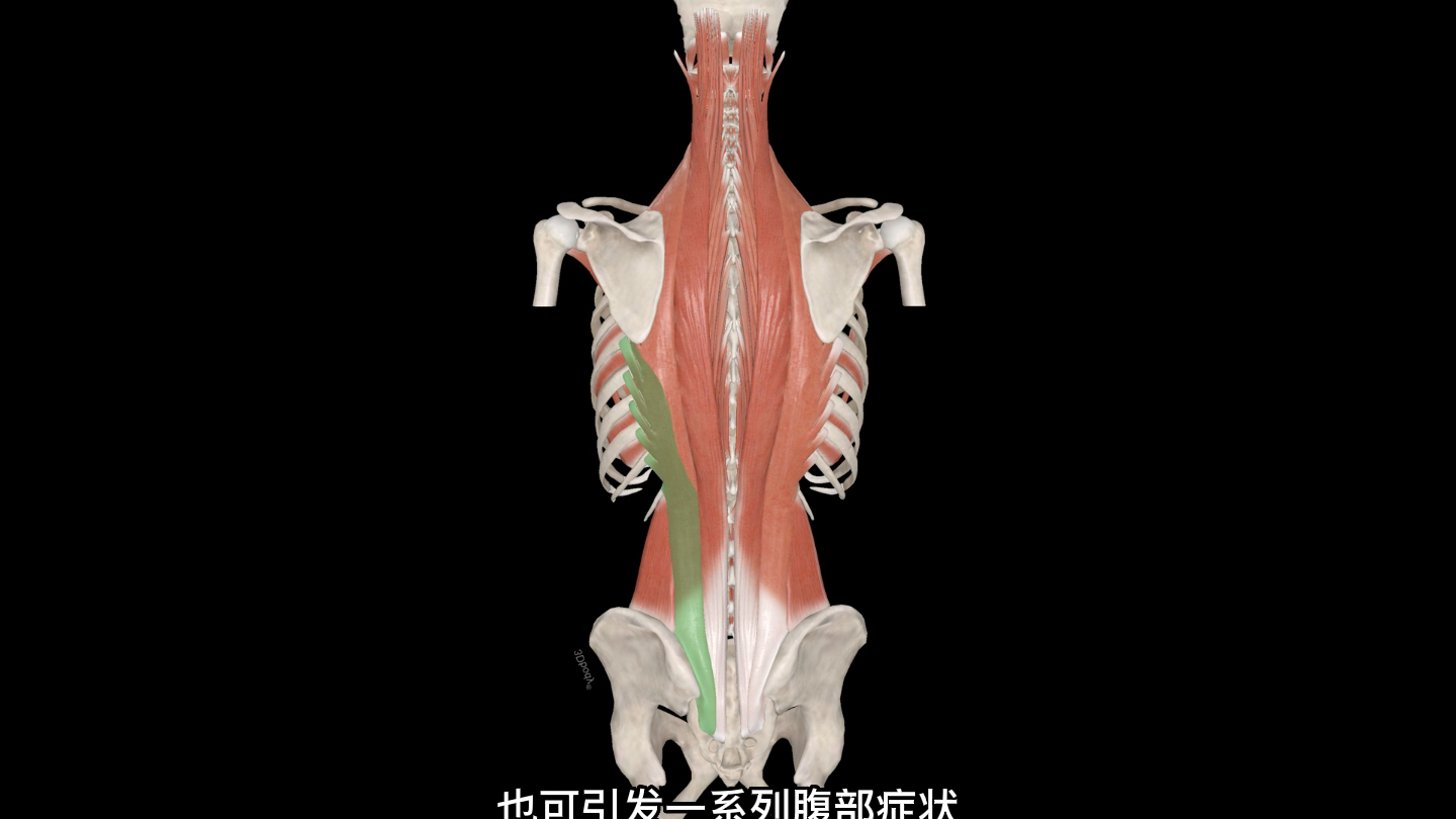 第12肋下缘压痛点