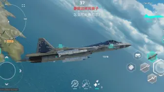 Download Video: 【MWT】su57逆天机动性