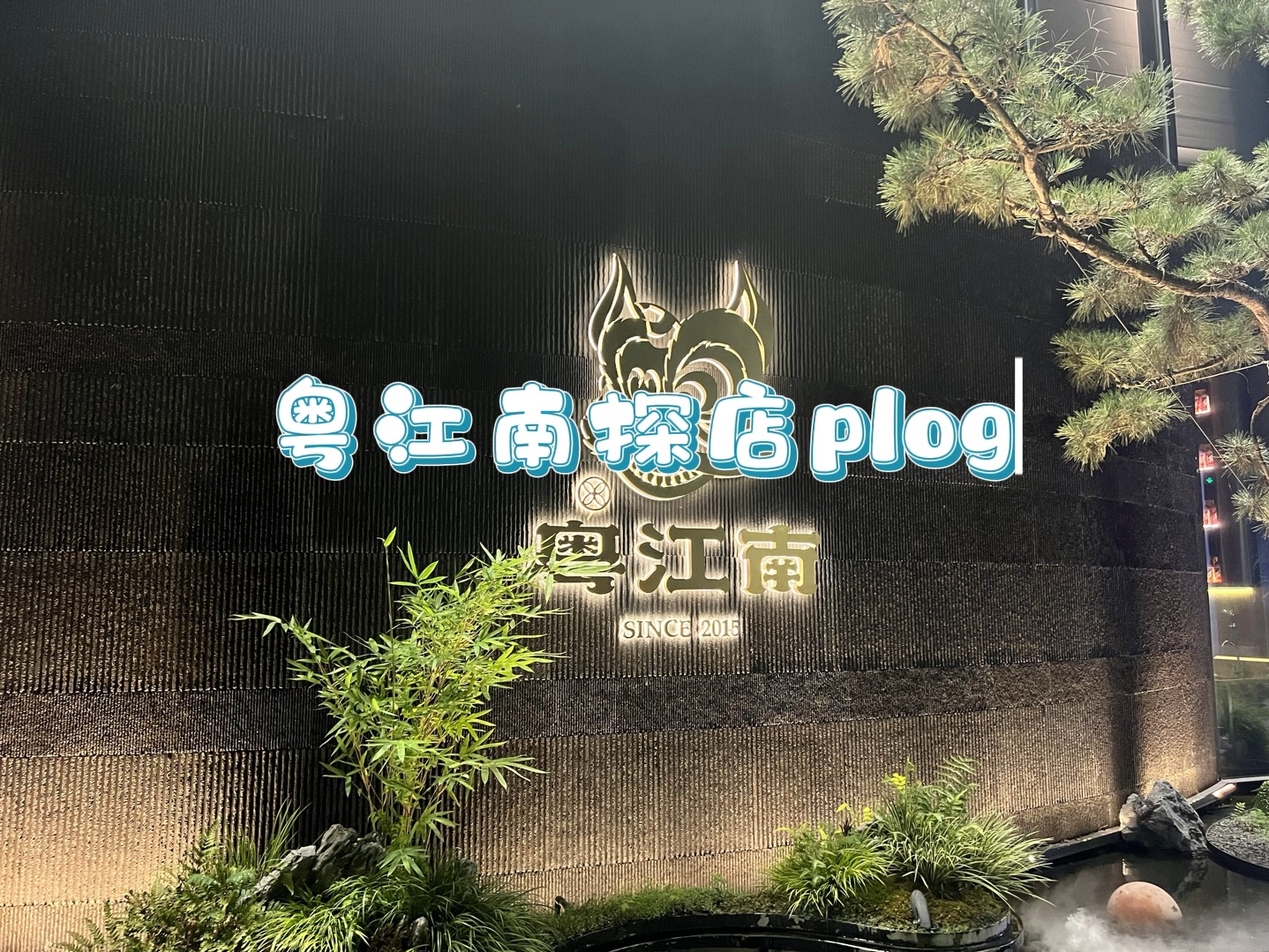 【探店plog】打卡柯老板的大奖杯和好吃的蛋哔哩哔哩bilibili