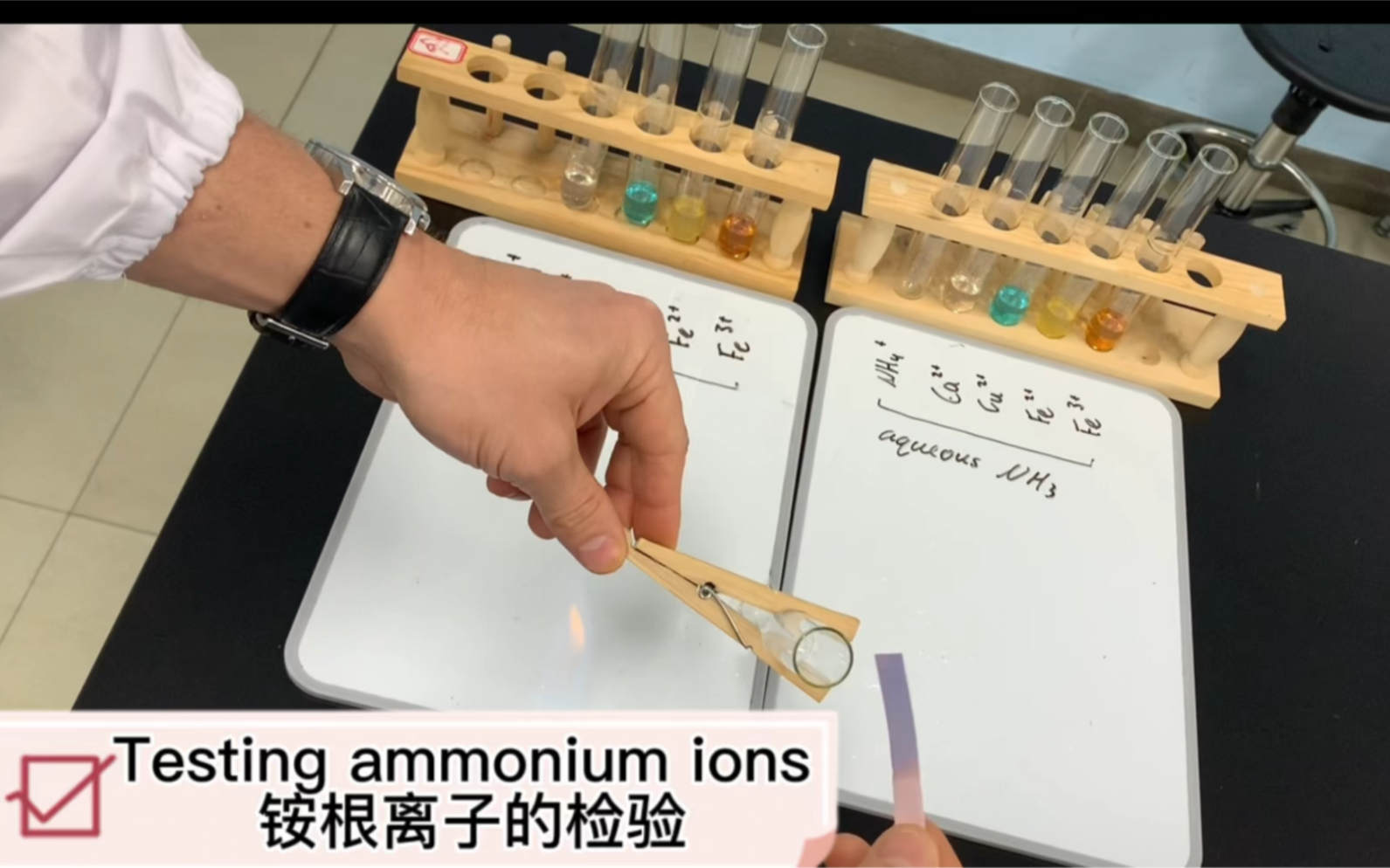 testing ammonium ions 銨根離子的檢驗