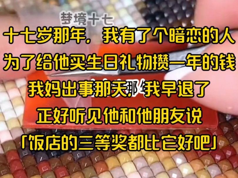 十七岁那年,我有了个暗恋的人,为了给他买生日礼物攒一年的钱,我妈出事那天,我早退了,正好听见他和他朋友说「饭店的三等奖都比它好吧」哔哩哔...