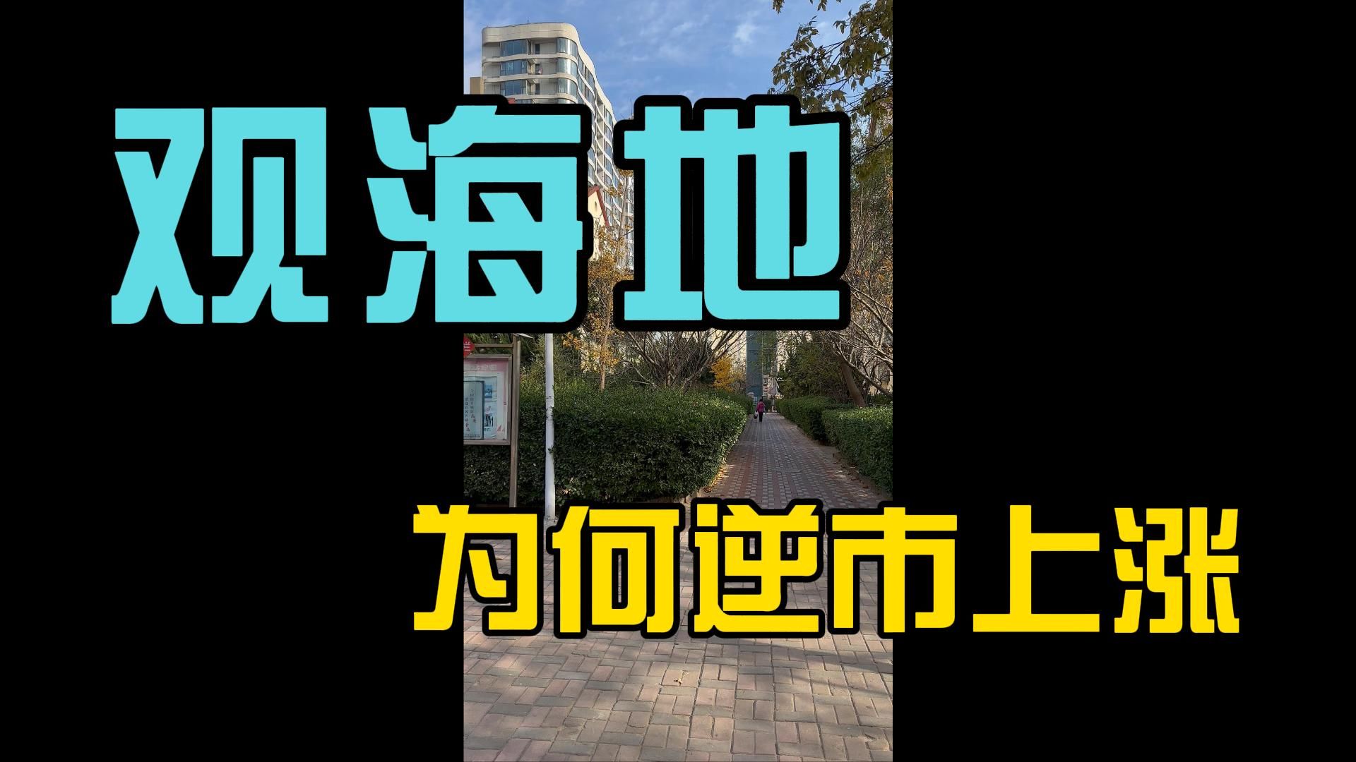 团岛的青铁观海地,为何今年能逆市上涨到5万每平?哔哩哔哩bilibili