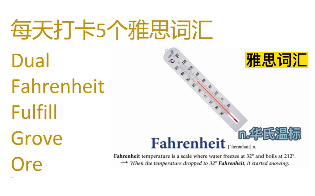 每天打卡5个雅思词汇 dual, fahrenheit, fulfill, grove, ore哔哩哔哩bilibili