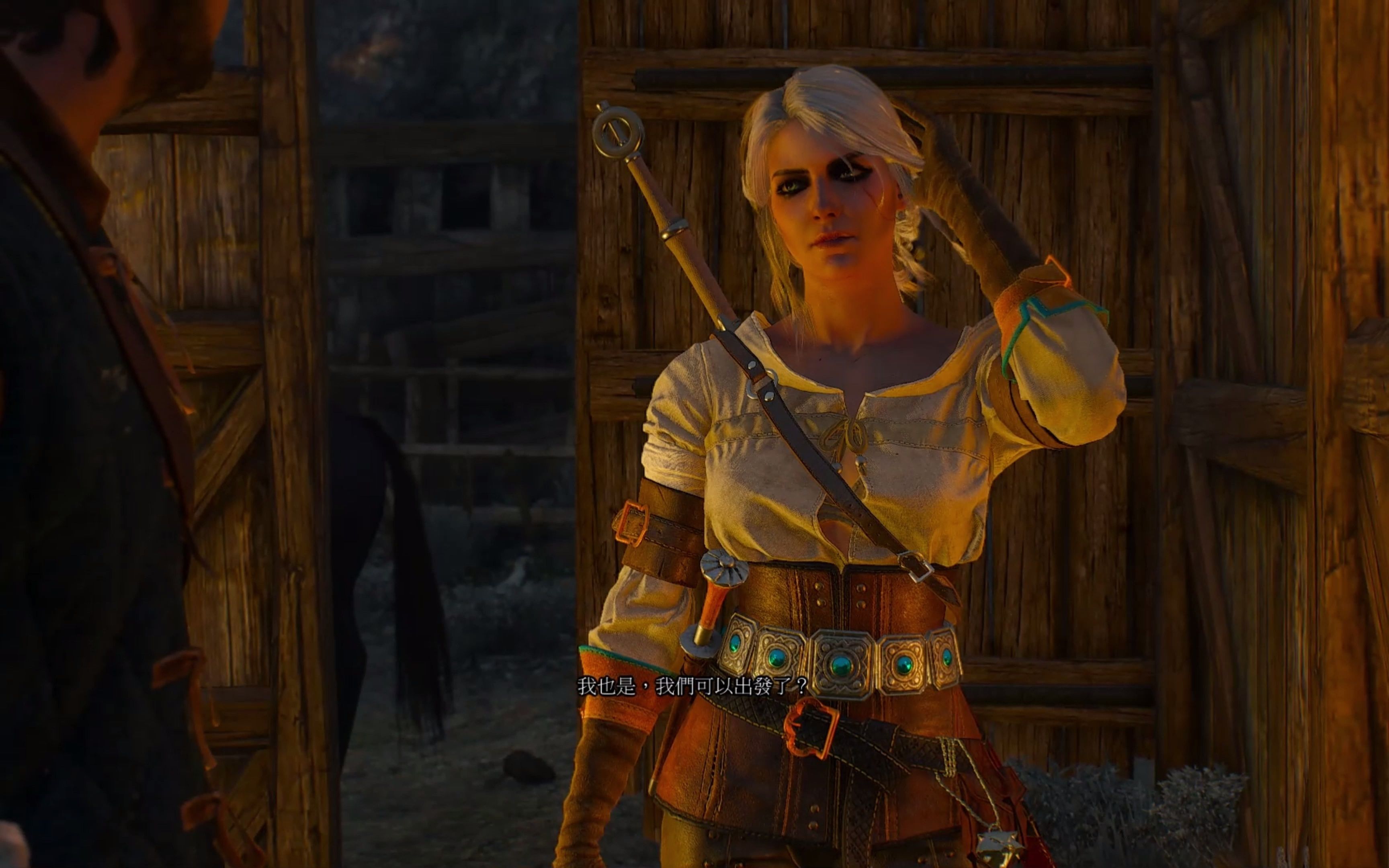 巫师3狂猎 希里in史凯利杰