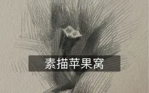 素描苹果窝画法