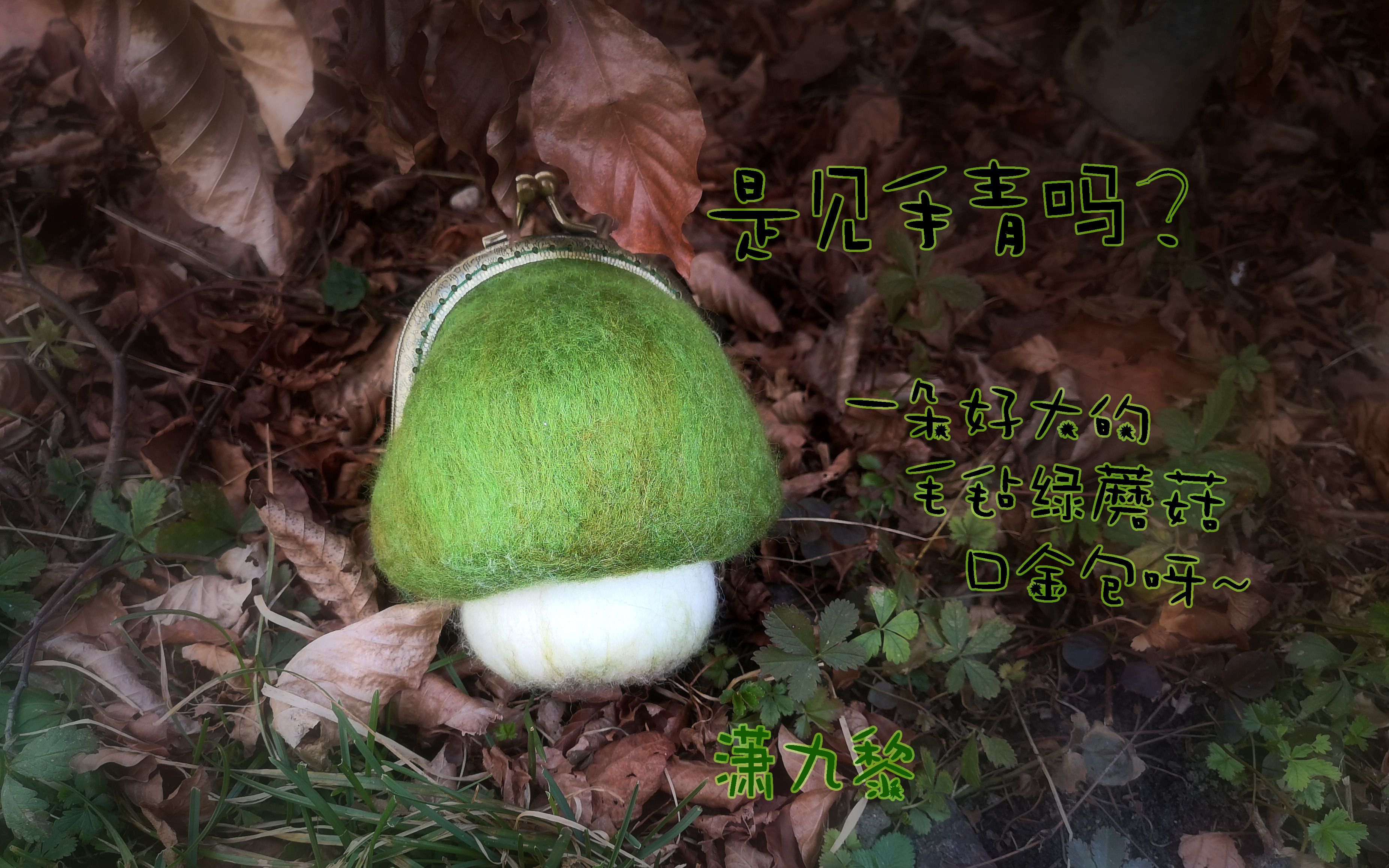 是见手青吗?好大一朵~绿色的毛毡大蘑菇口金包~是针毡哟