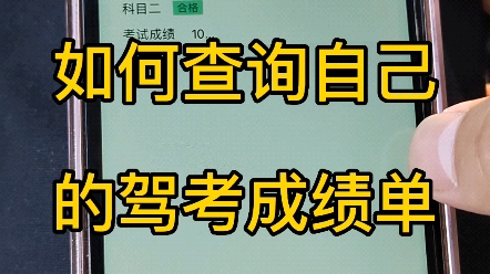 如何查询自己的驾考成绩单.哔哩哔哩bilibili