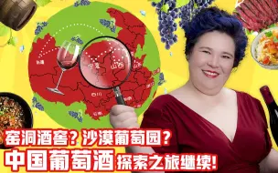 Скачать видео: 《品尝中国》第十四期 中国葡萄酒（下）：山西与宁夏的葡萄酒庄 14