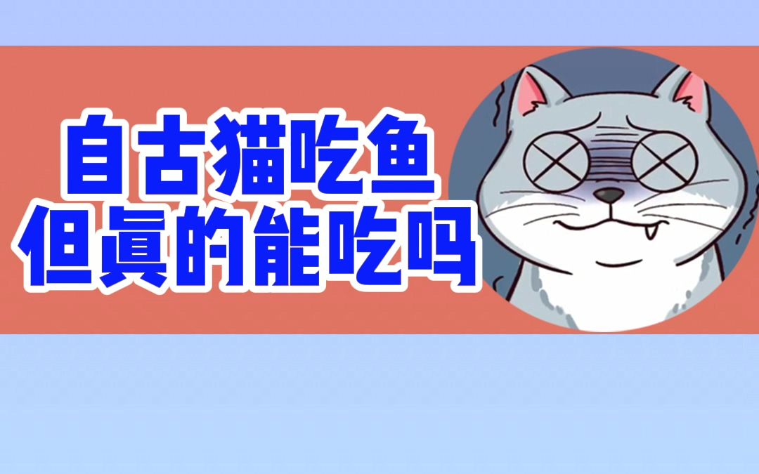 自古都说猫吃鱼,到底能不能吃哔哩哔哩bilibili