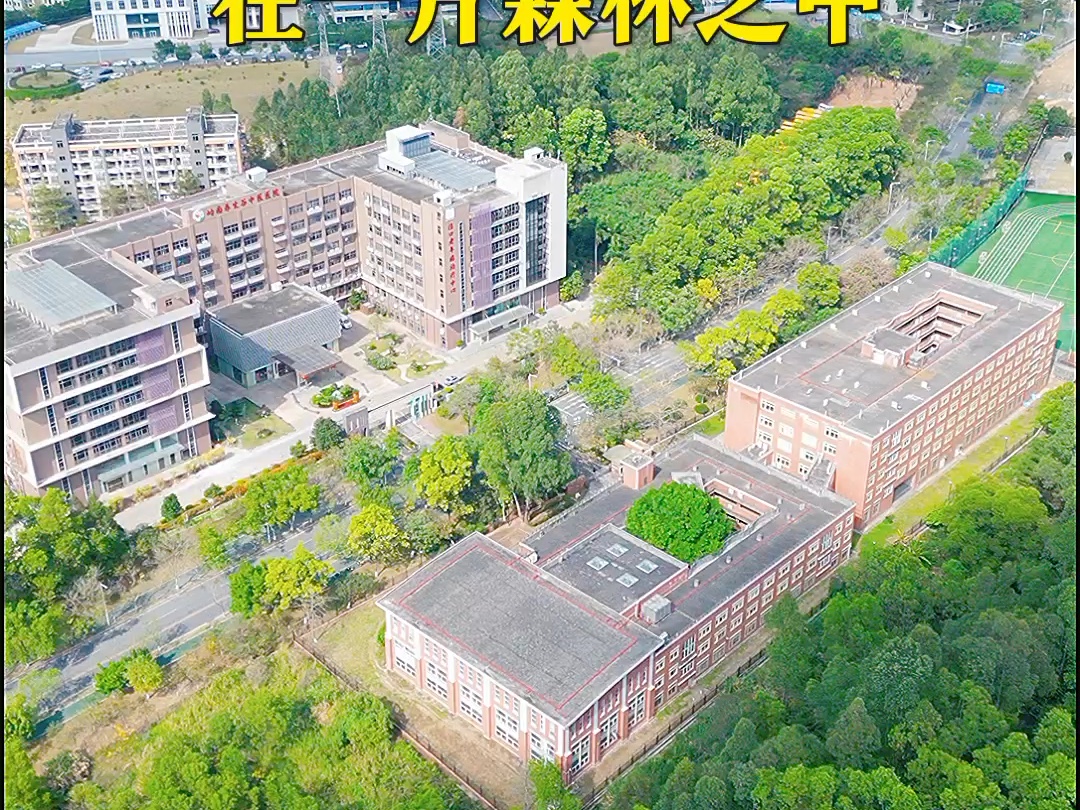 这座房子不简单,在一片森林之中,广州日本人学校哔哩哔哩bilibili