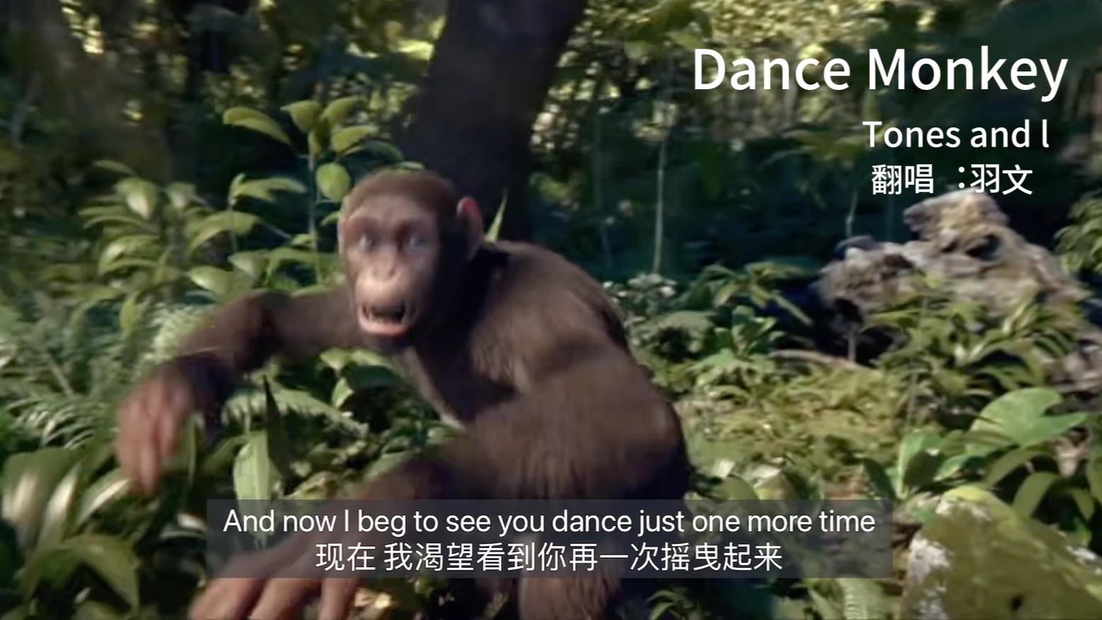 [图]羽文带来一首会跳舞的猴子《Dance Monkey》