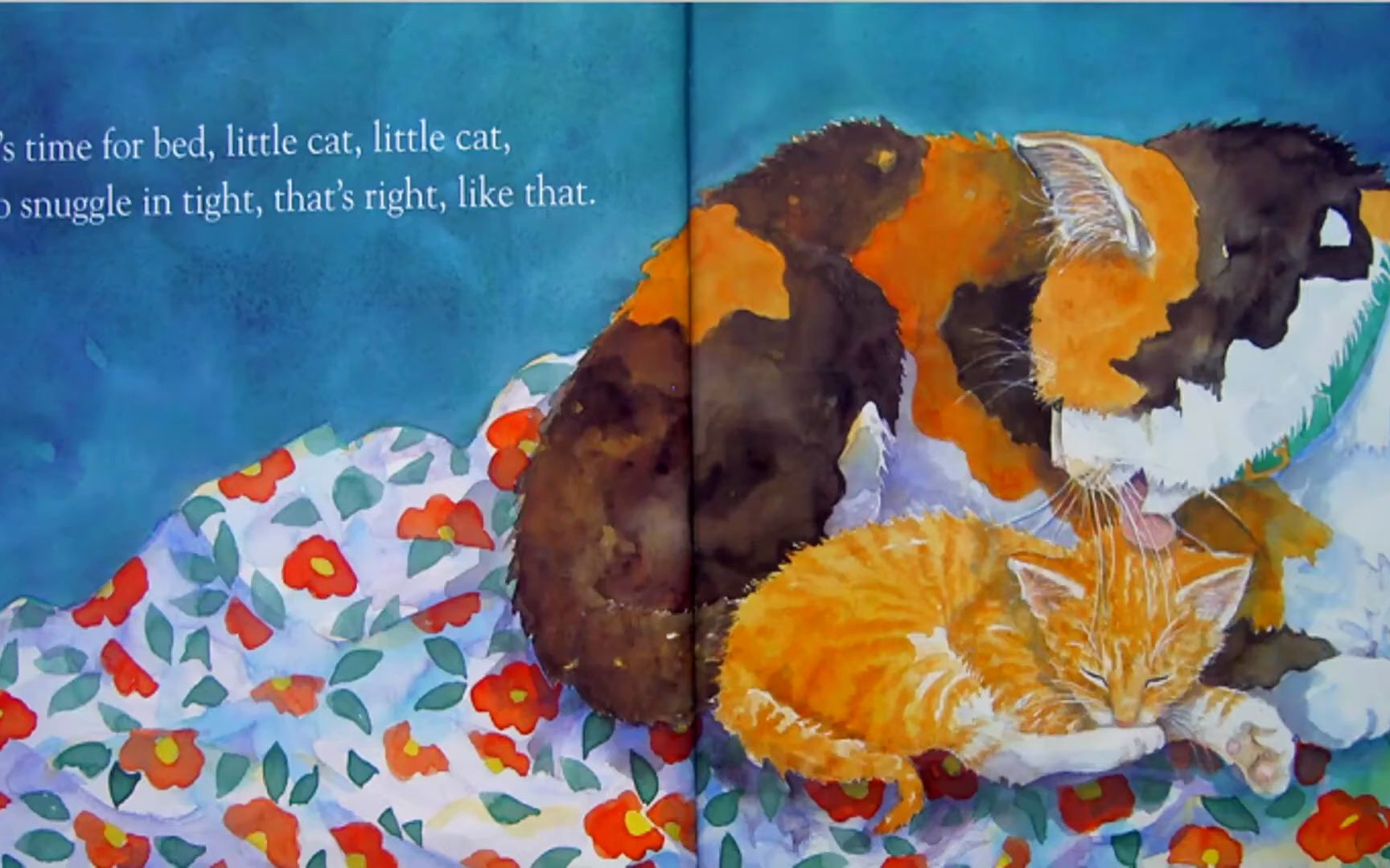 绘本阅读 time for bed by mem fox storybook_1080p