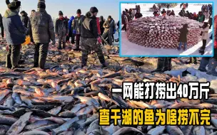 下载视频: 一网能捞40万斤，查干湖的鱼是哪里来的？为什么捞不完？