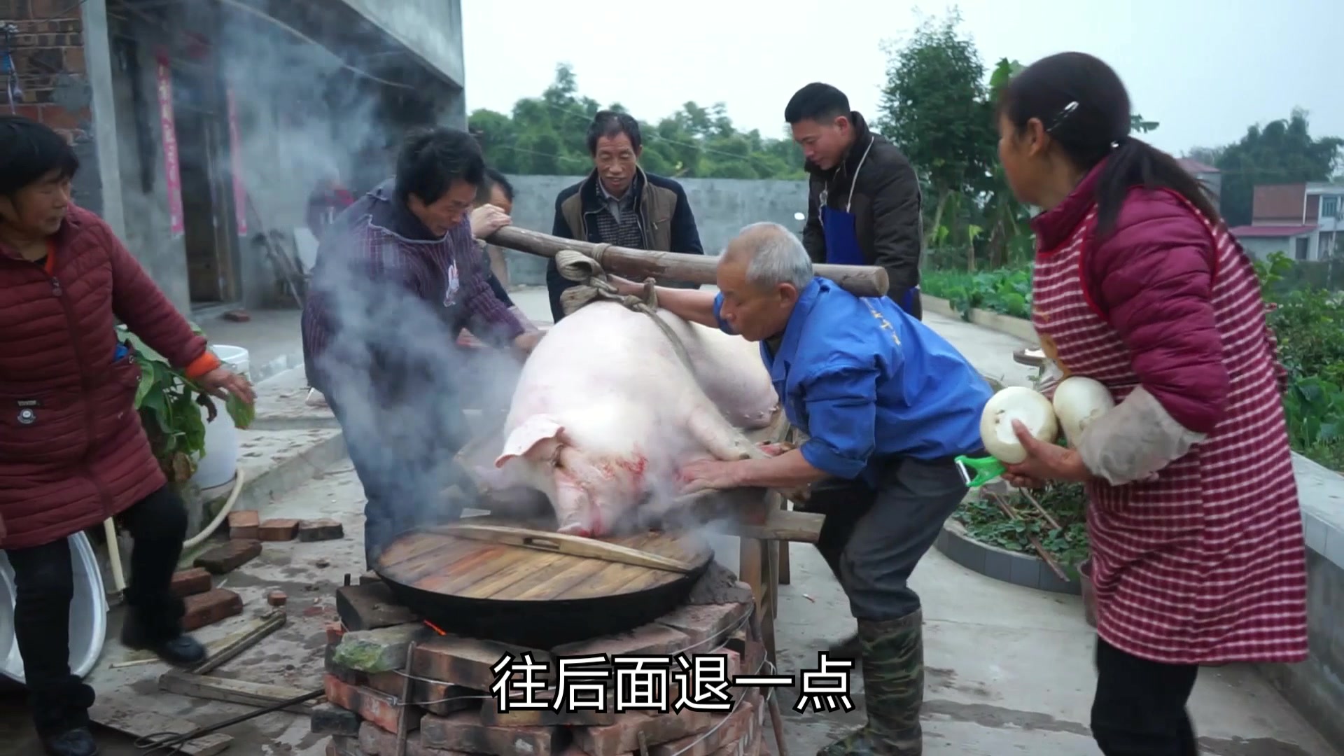 的老屠夫300多斤肥猪1分钟内解决男女老少齐上阵好热闹这样杀猪快准狠