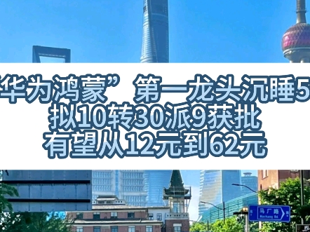 华为鸿蒙第一龙头沉睡5年,拟10转30派9获批,有望从12元到62元哔哩哔哩bilibili