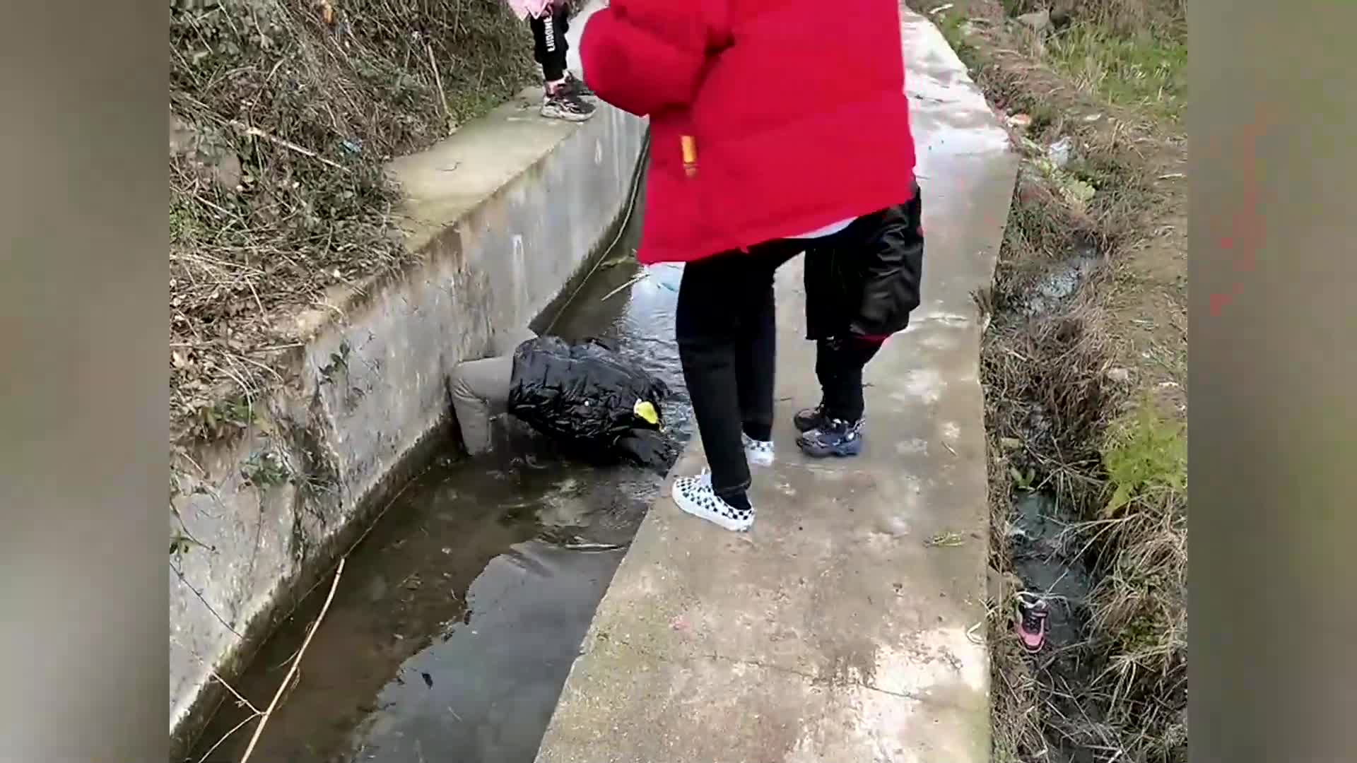 盘点父母大型坑娃名场面,这届父母是真的难带