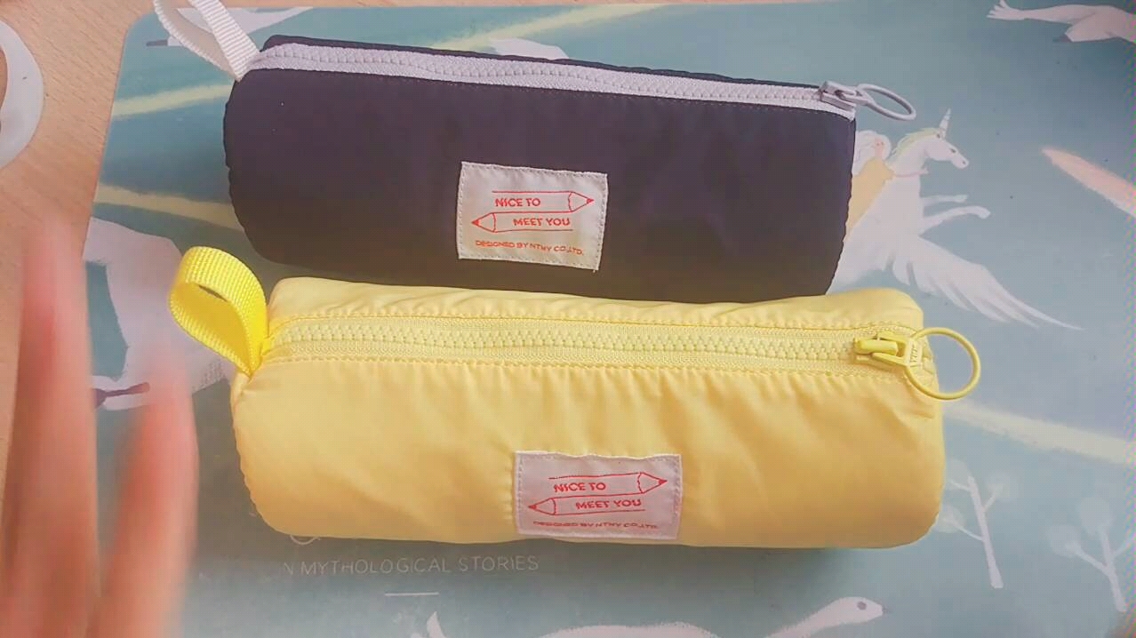 【翻笔袋】初二生的笔袋里有什么?|ntmy|限定系列|平价代替|文具安利