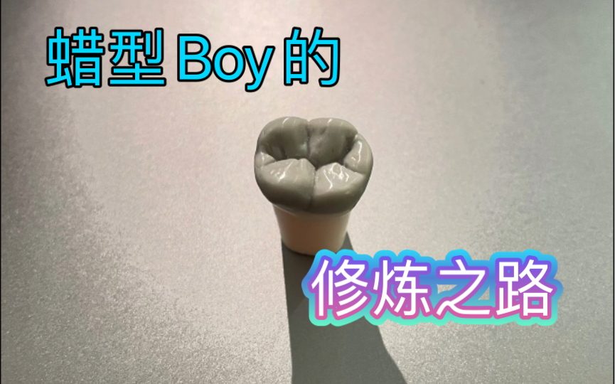 要努力成为优秀的蜡型Boy啊.哔哩哔哩bilibili