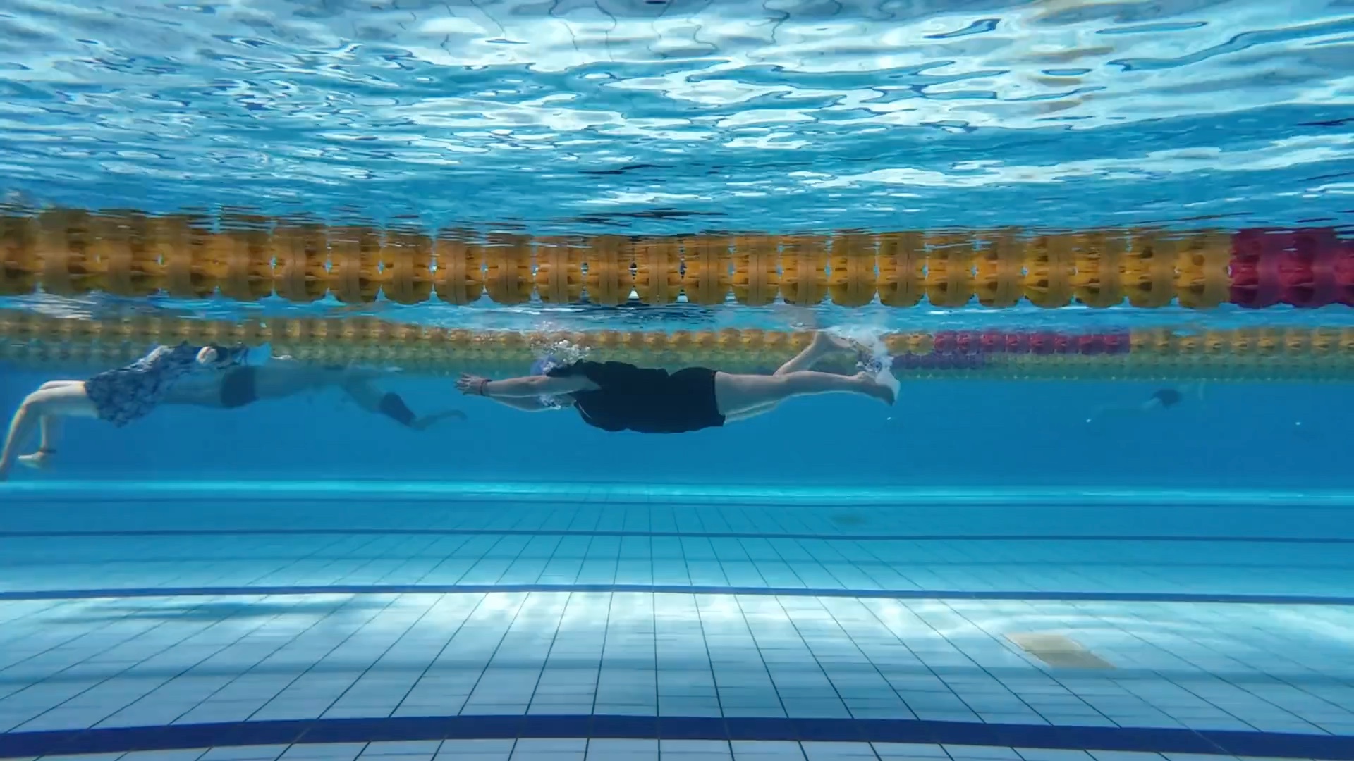 好看的泳姿千篇一律,还是姐姐们好看98#游泳 #学游泳