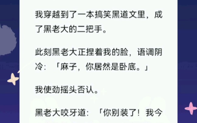 我穿越到了一本搞笑黑道文里,竟然还混成了个二把手哔哩哔哩bilibili