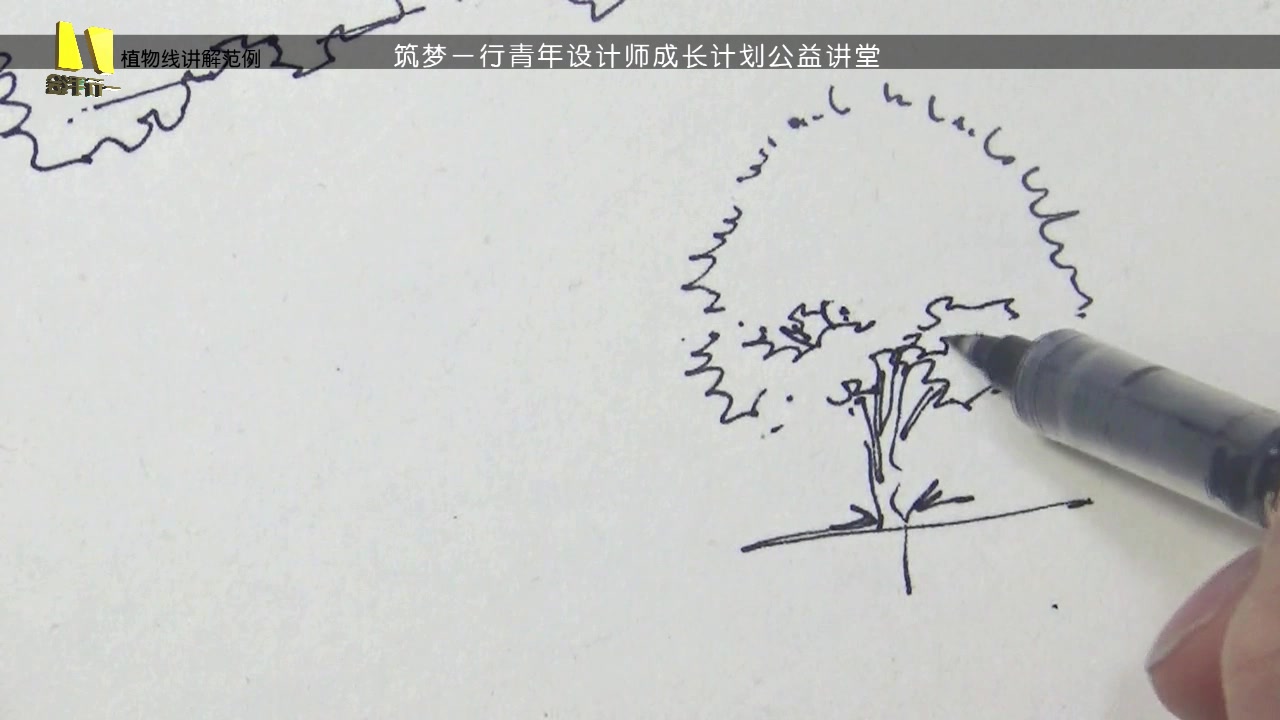 [图]建筑快题设计自学课程 第9节 植物的画法