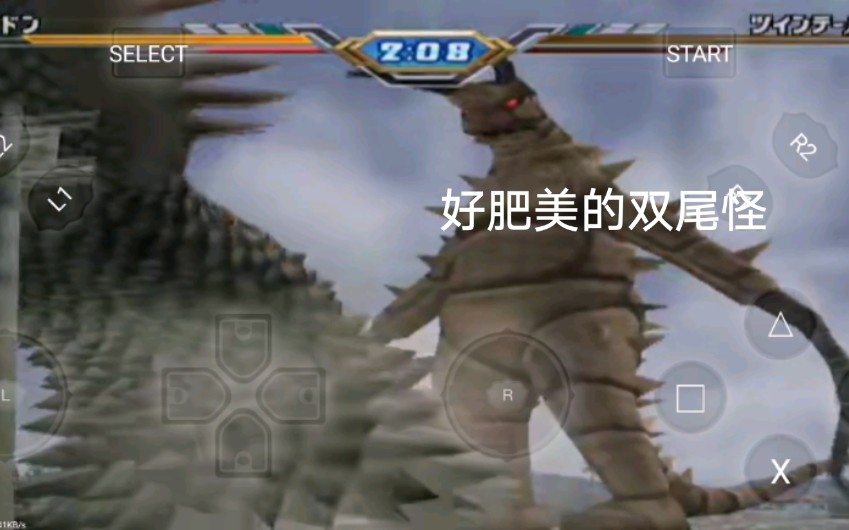 古敦:晚餐吃双尾怪!