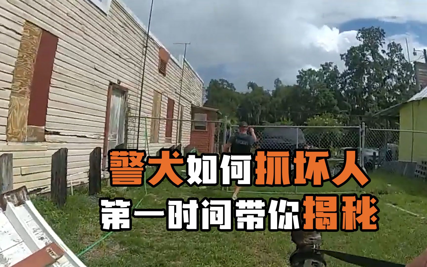 凶猛警犬第一次出任务就成功抓捕逃犯,过程紧张刺激哔哩哔哩bilibili