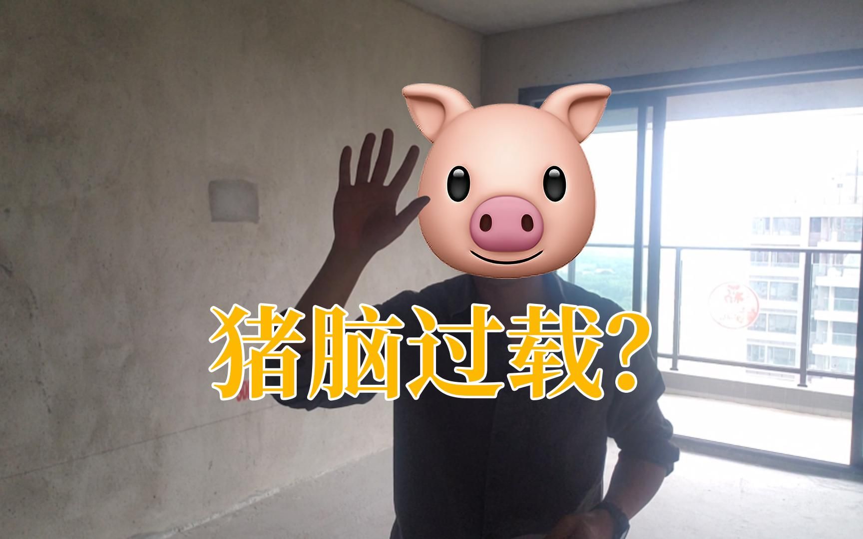 猪脑过载?