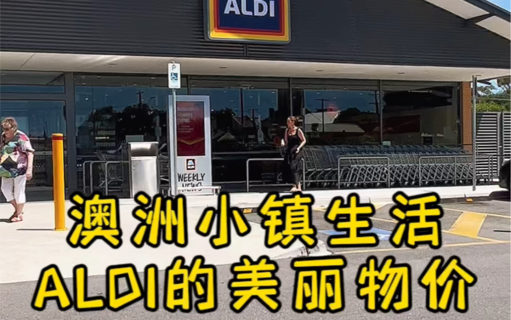 澳洲小镇还有一个ALDI超市,没有Coles那么大,品类也没那么全,但是价格真的很美丽.哔哩哔哩bilibili